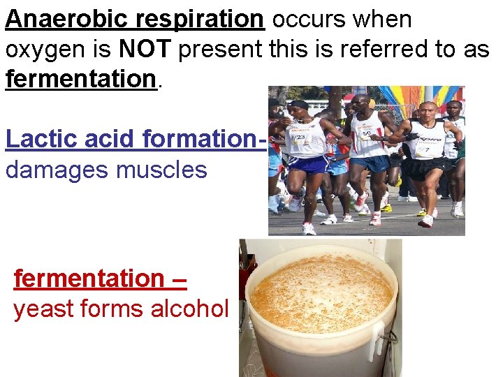 Anaerobic respiration occurs when oxygen is NOT present this is referred to as fermentation.