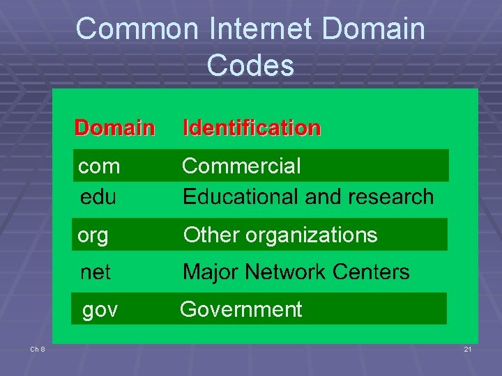 Common Internet Domain Codes Ch 8 com Commercial org Other organizations gov Government 21 Common Internet Domain Codes Ch 8 com Commercial org Other organizations gov Government 21