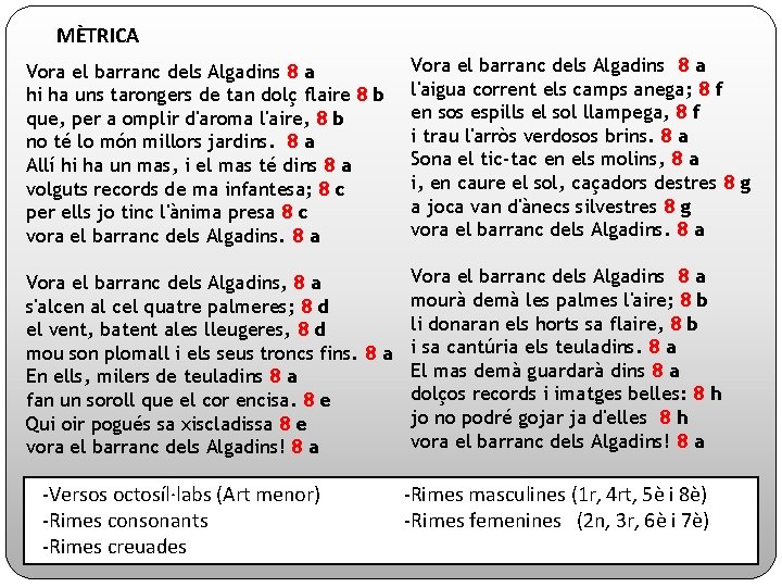 MÈTRICA Vora el barranc dels Algadins 8 a hi ha uns tarongers de tan