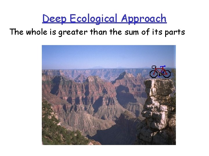 Deep Ecological Approach The whole is greater than the sum of its parts 