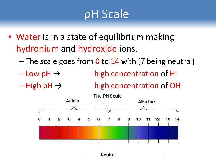 p. H Scale • Water is in a state of equilibrium making hydronium and