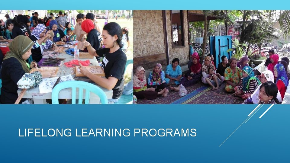 LIFELONG LEARNING PROGRAMS 