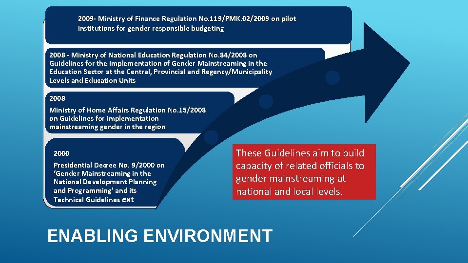 2009 - Ministry of Finance Regulation No. 119/PMK. 02/2009 on pilot institutions for gender