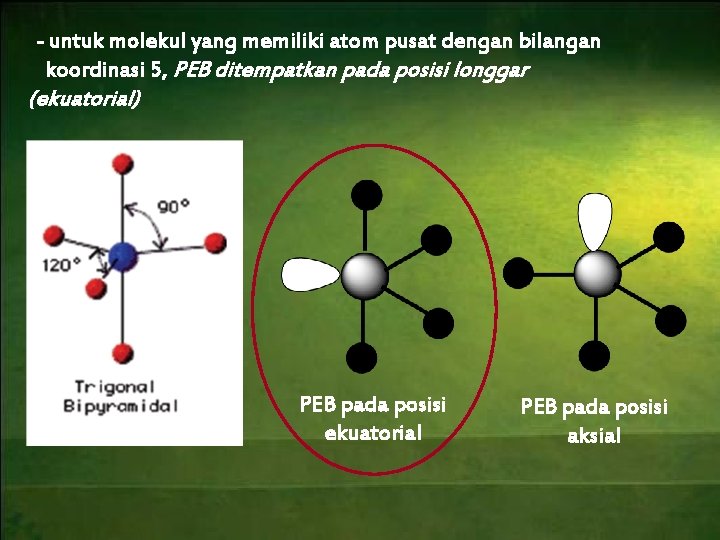 - untuk molekul yang memiliki atom pusat dengan bilangan koordinasi 5, PEB ditempatkan pada