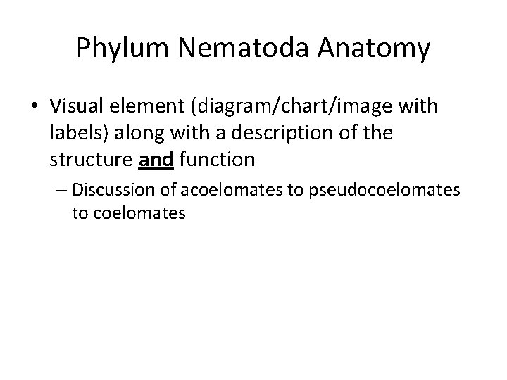 Phylum Nematoda Anatomy • Visual element (diagram/chart/image with labels) along with a description of