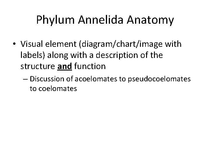 Phylum Annelida Anatomy • Visual element (diagram/chart/image with labels) along with a description of