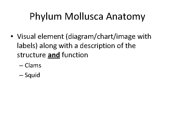 Phylum Mollusca Anatomy • Visual element (diagram/chart/image with labels) along with a description of