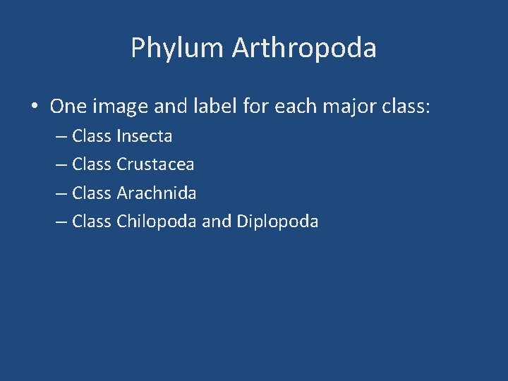 Phylum Arthropoda • One image and label for each major class: – Class Insecta