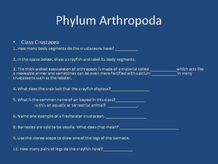 Phylum Arthropoda • Class Crustacea 1. How many body segments do the crustaceans have?