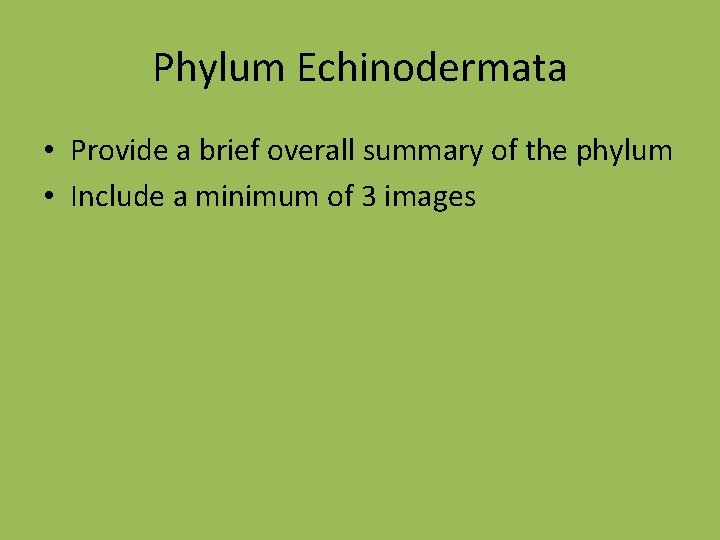 Phylum Echinodermata • Provide a brief overall summary of the phylum • Include a
