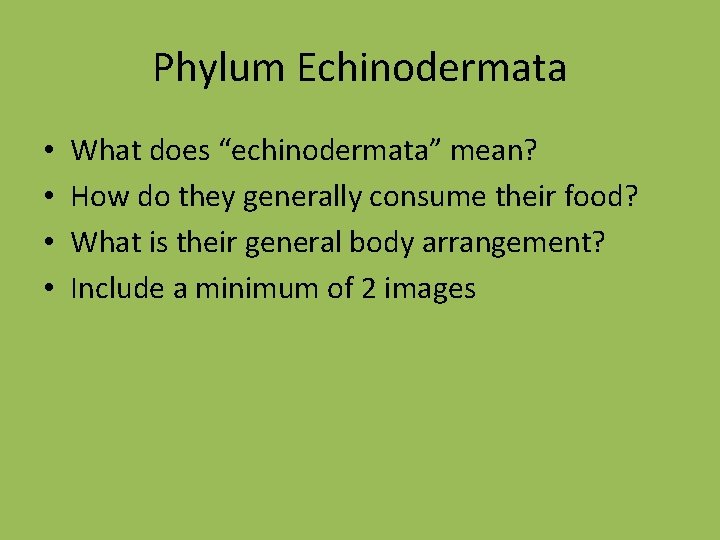 Phylum Echinodermata • • What does “echinodermata” mean? How do they generally consume their
