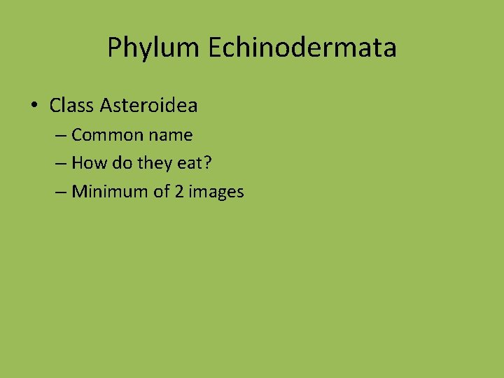 Phylum Echinodermata • Class Asteroidea – Common name – How do they eat? –