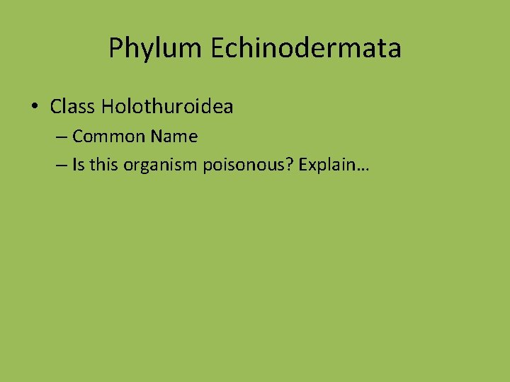Phylum Echinodermata • Class Holothuroidea – Common Name – Is this organism poisonous? Explain…