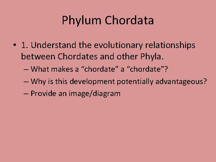Phylum Chordata • 1. Understand the evolutionary relationships between Chordates and other Phyla. –
