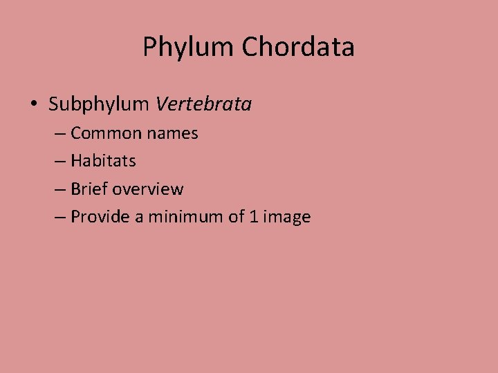 Phylum Chordata • Subphylum Vertebrata – Common names – Habitats – Brief overview –