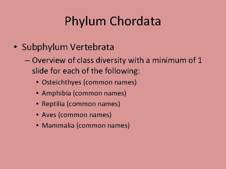 Phylum Chordata • Subphylum Vertebrata – Overview of class diversity with a minimum of