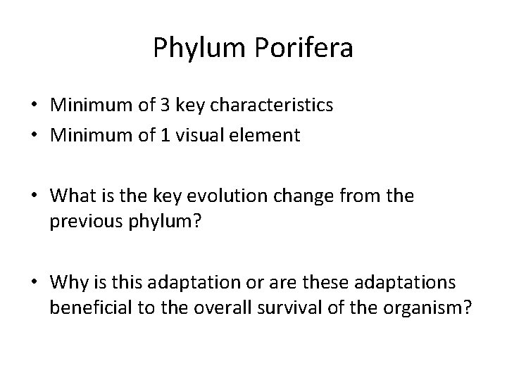 Phylum Porifera • Minimum of 3 key characteristics • Minimum of 1 visual element