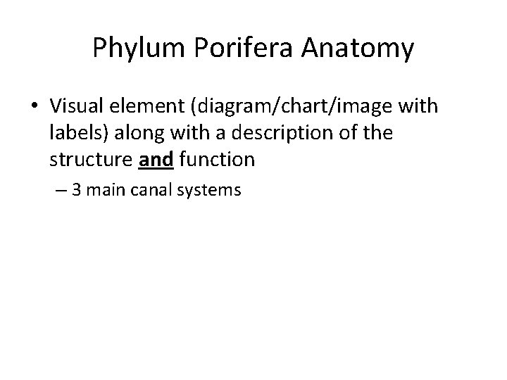 Phylum Porifera Anatomy • Visual element (diagram/chart/image with labels) along with a description of