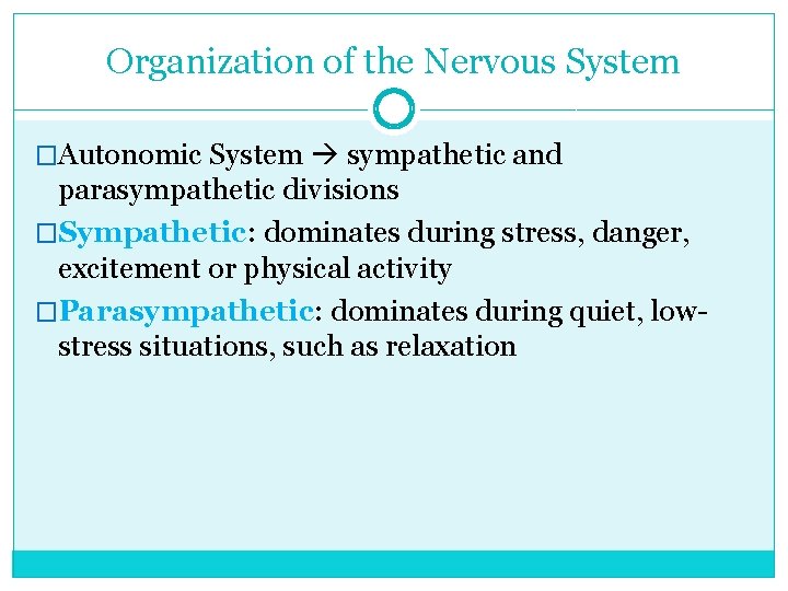 Organization of the Nervous System �Autonomic System sympathetic and parasympathetic divisions �Sympathetic: dominates during