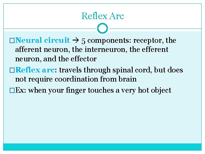 Reflex Arc �Neural circuit 5 components: receptor, the afferent neuron, the interneuron, the efferent