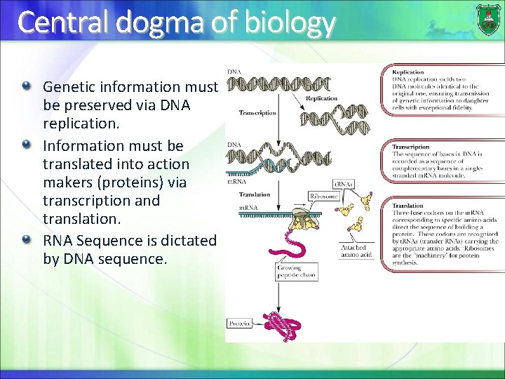 Central dogma of biology Genetic information must be preserved via DNA replication. Information must