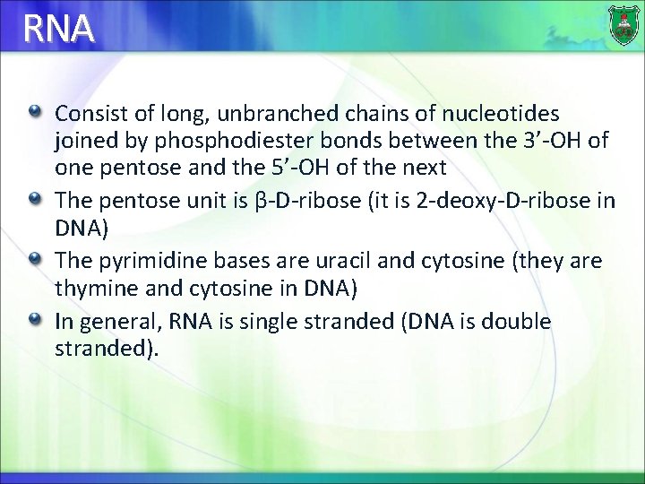 RNA Consist of long, unbranched chains of nucleotides joined by phosphodiester bonds between the