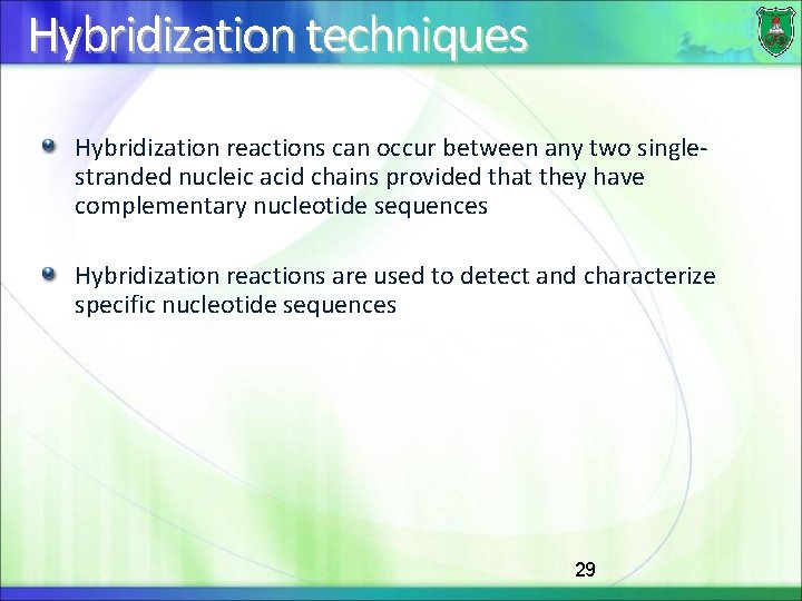 Hybridization techniques Hybridization reactions can occur between any two singlestranded nucleic acid chains provided