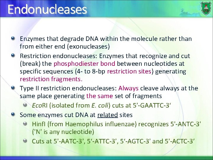 Endonucleases Enzymes that degrade DNA within the molecule rather than from either end (exonucleases)