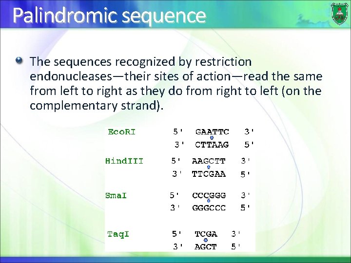 Palindromic sequence The sequences recognized by restriction endonucleases—their sites of action—read the same from