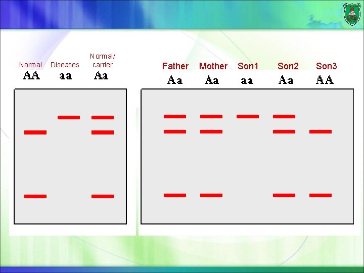 Normal Diseases Normal/ carrier Father Mother Son 1 Son 2 Son 3 