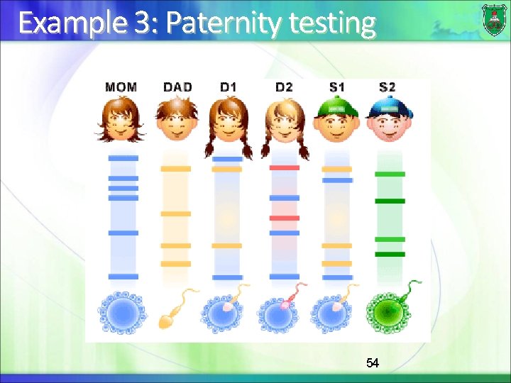Example 3: Paternity testing 54 