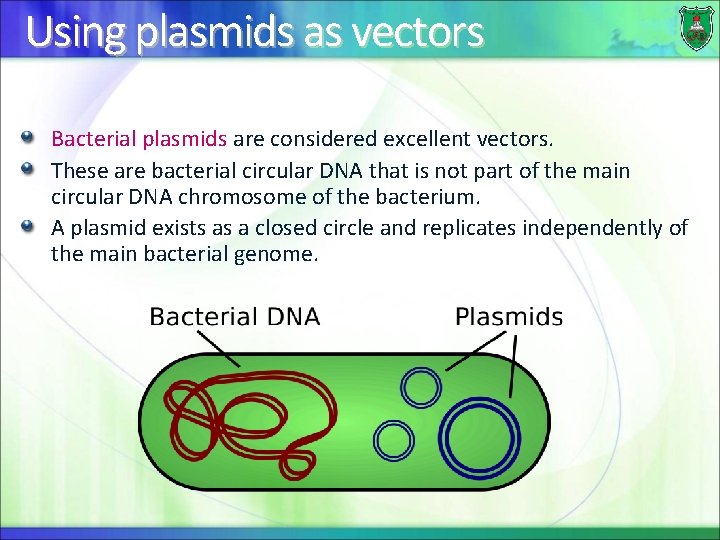 Using plasmids as vectors Bacterial plasmids are considered excellent vectors. These are bacterial circular
