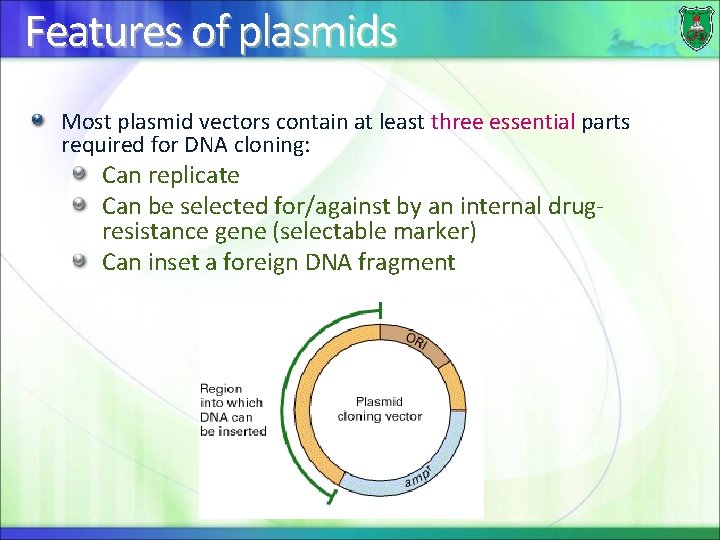 Features of plasmids Most plasmid vectors contain at least three essential parts required for