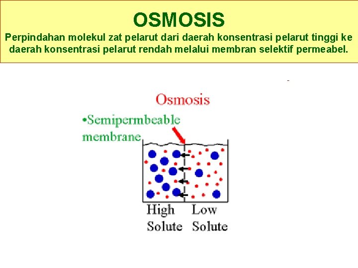 OSMOSIS Perpindahan molekul zat pelarut dari daerah konsentrasi pelarut tinggi ke daerah konsentrasi pelarut