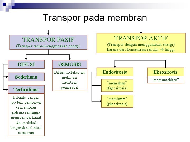 Transpor pada membran TRANSPOR PASIF (Transpor tanpa menggunakan energi) DIFUSI Sederhana Terfasilitasi Dibantu dengan