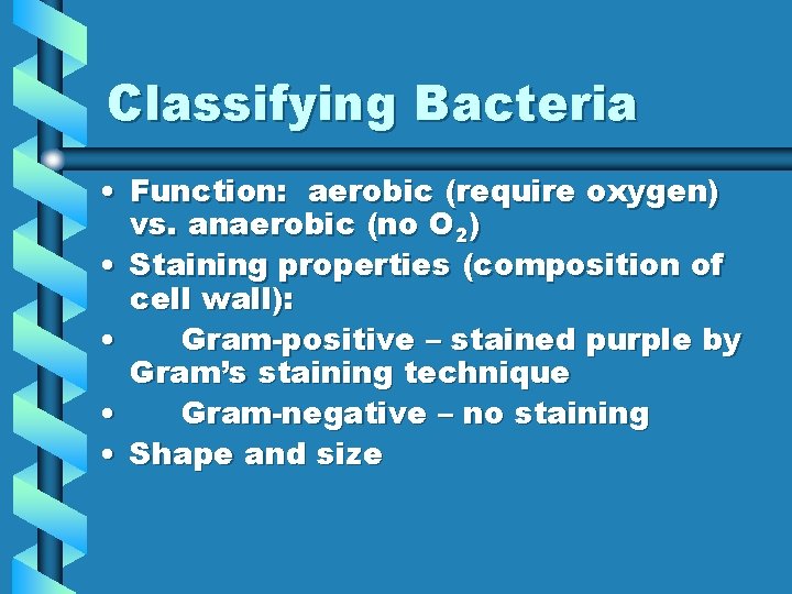 Classifying Bacteria • Function: aerobic (require oxygen) vs. anaerobic (no O 2) • Staining