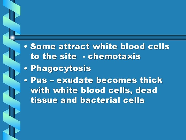  • Some attract white blood cells to the site - chemotaxis • Phagocytosis