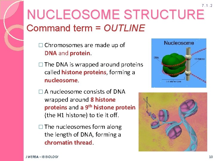 7. 1. 2 NUCLEOSOME STRUCTURE Command term = OUTLINE � Chromosomes are made up