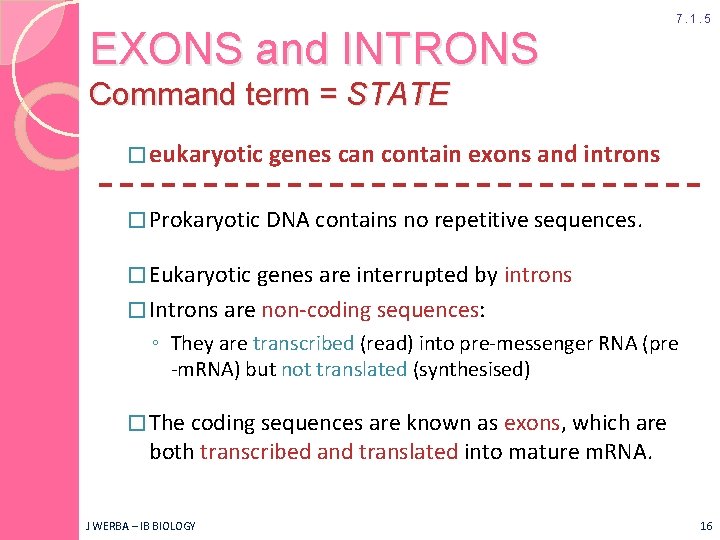 EXONS and INTRONS 7. 1. 5 Command term = STATE � eukaryotic genes can