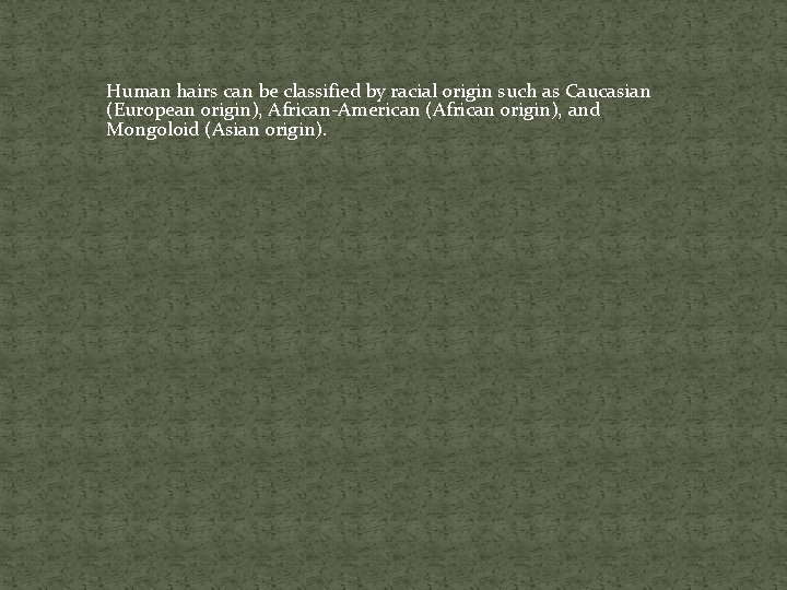 Human hairs can be classified by racial origin such as Caucasian (European origin), African-American