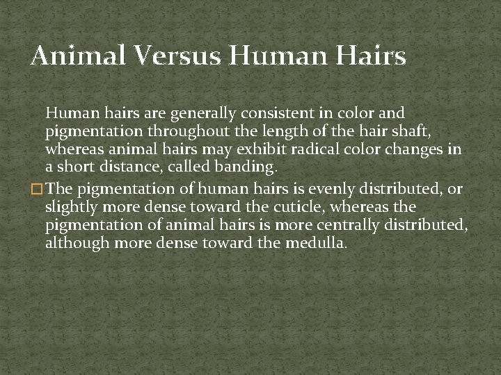 Animal Versus Human Hairs Human hairs are generally consistent in color and pigmentation throughout