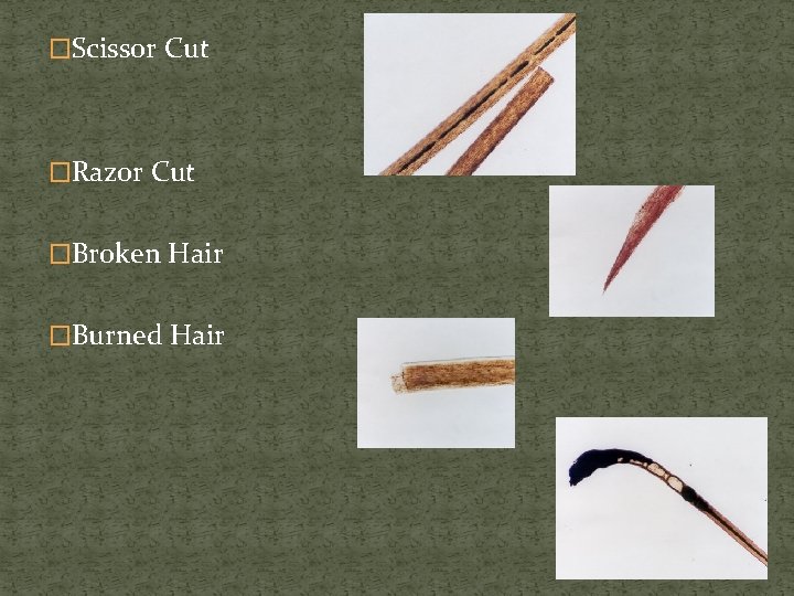 �Scissor Cut �Razor Cut �Broken Hair �Burned Hair 
