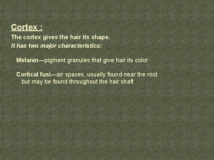 Cortex : The cortex gives the hair its shape. It has two major characteristics: