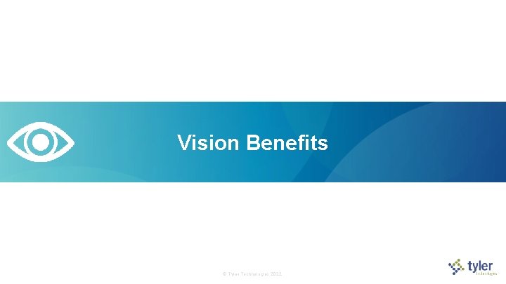 Vision Benefits © Tyler Technologies 2022  Vision Benefits © Tyler Technologies 2022