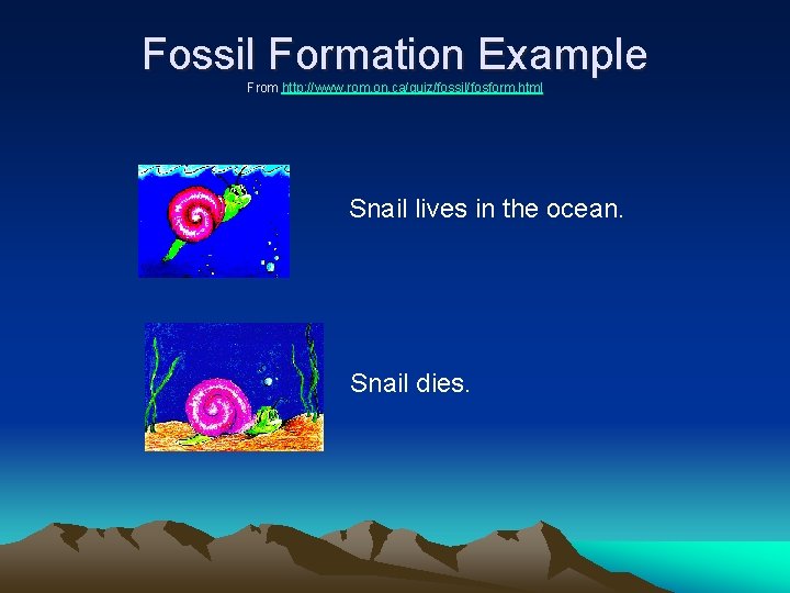 Fossil Formation Example From http: //www. rom. on. ca/quiz/fossil/fosform. html Snail lives in the