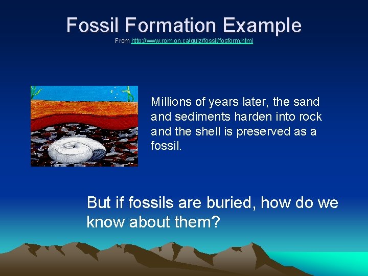 Fossil Formation Example From http: //www. rom. on. ca/quiz/fossil/fosform. html Millions of years later,