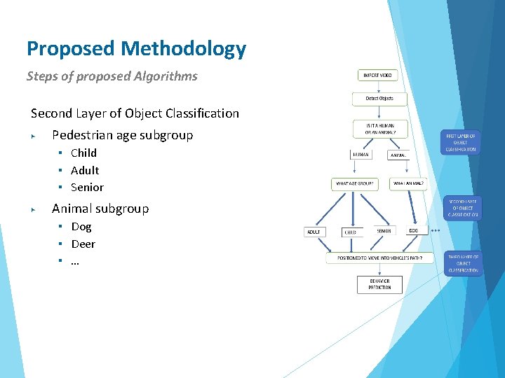 Proposed Methodology Steps of proposed Algorithms Second Layer of Object Classification ▶ Pedestrian age