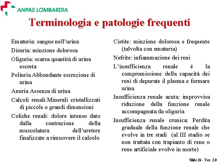 Terminologia e patologie frequenti Ematuria: sangue nell’urina Disuria: minzione dolorosa Oliguria: scarsa quantità di