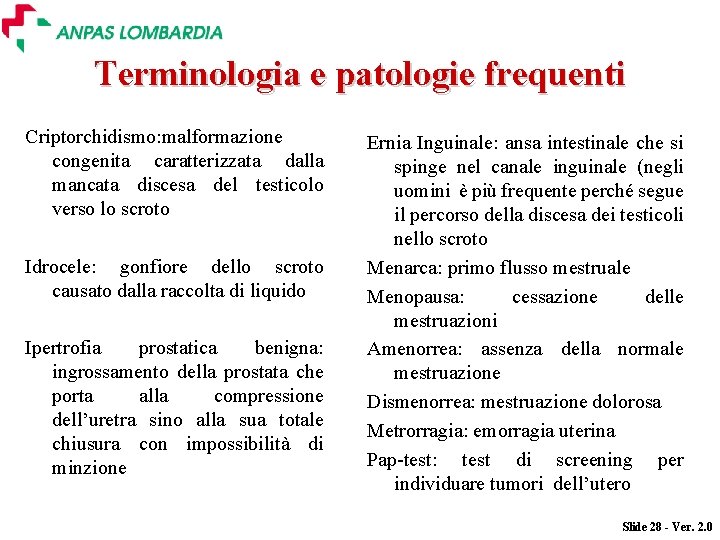 Terminologia e patologie frequenti Criptorchidismo: malformazione congenita caratterizzata dalla mancata discesa del testicolo verso