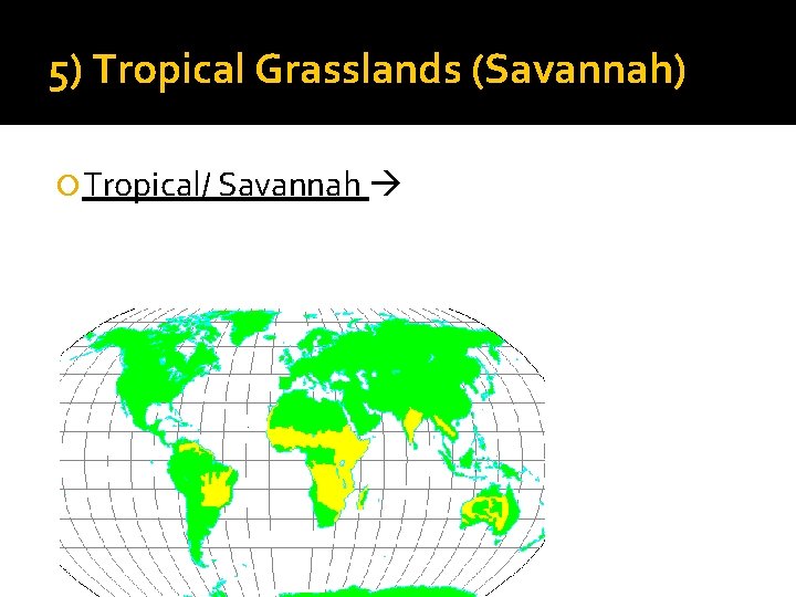 5) Tropical Grasslands (Savannah) Tropical/ Savannah 